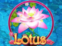 lotus