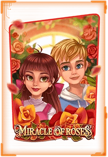 miracle of roses