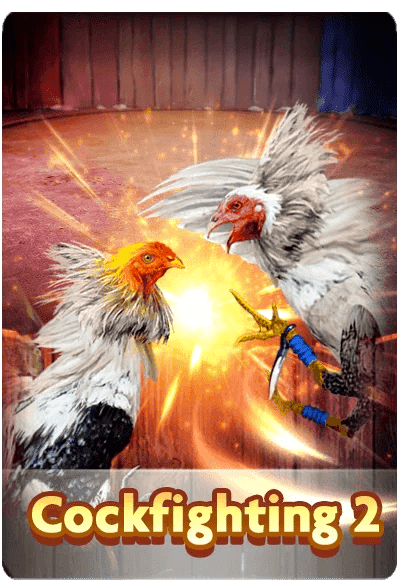 CockFighting2